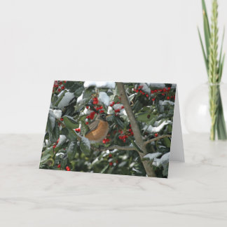Virginia Peace Card