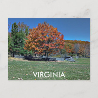 VIRGINIA POSTCARD