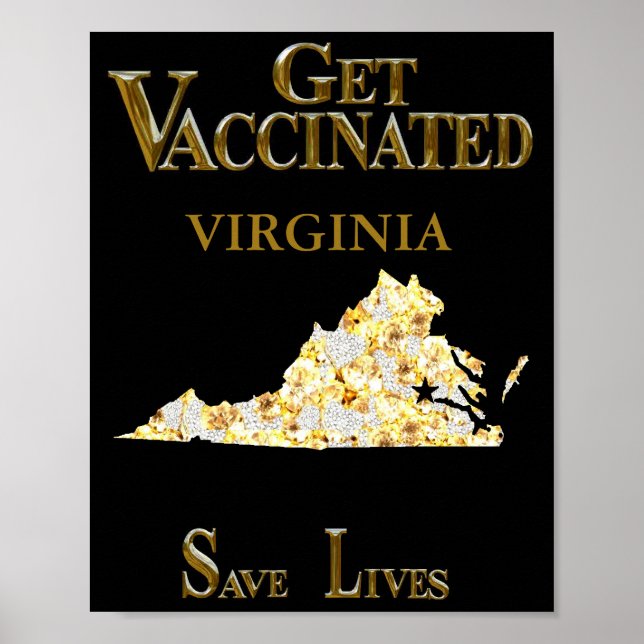VIRGINIA   POSTER (Front)