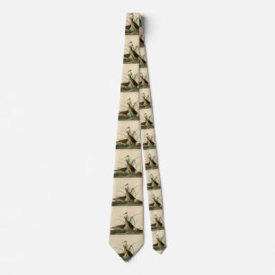 Virginia Rail from Audubon's Birds of America Neck Tie
