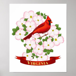 Virginia State Cardinal Bird and Dogwood Flower Poster