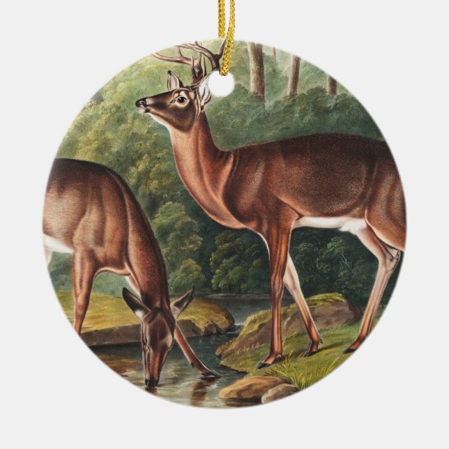 Virginian Deer (Cervus Virginianus) Illustration Ceramic Ornament (Front)