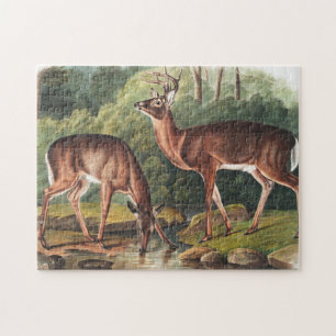 Virginian Deer (Cervus Virginianus) Illustration Jigsaw Puzzle