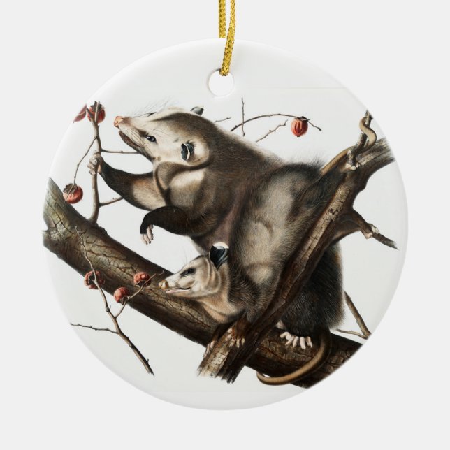 Virginian Opossum Didelphis Virginia Illustration Ceramic Ornament (Front)