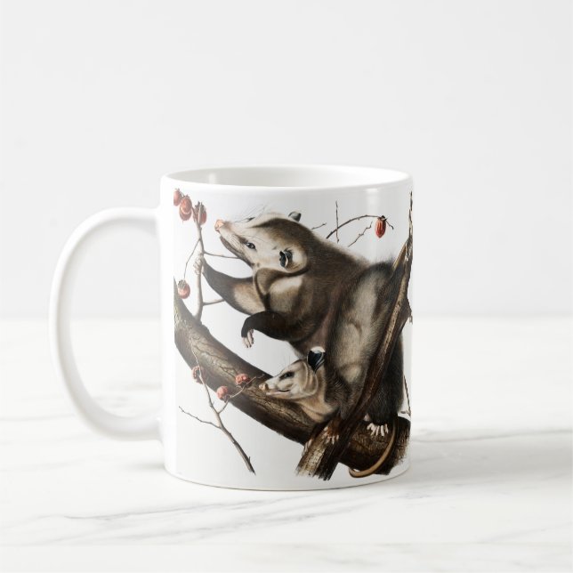 Virginian Opossum Didelphis Virginia Illustration Coffee Mug (Left)