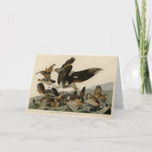 Virginian Partridge, Audubon's Birds of America Card