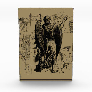 Virgo Constellation Hevelius Etching Style Award