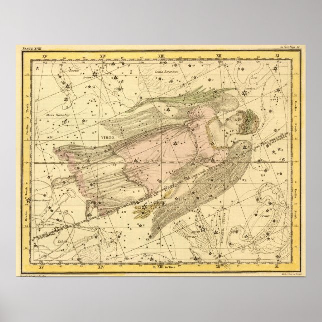 Virgo Poster (Front)