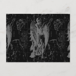 Virgo Zodiac Constellation Hevelius 1690 Postcard