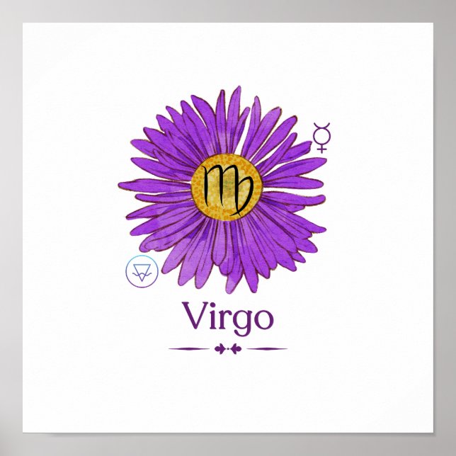 Virgo Zodiac Sign with Purple Aster Flower Poster (Front)