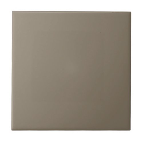 Virtually Taupe Square Kitchen and Bathroom  Ceramic Tile