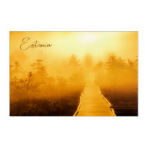 Viru Bog Golden Sunrise