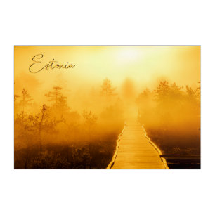 Viru Bog Golden Sunrise Acrylic Print