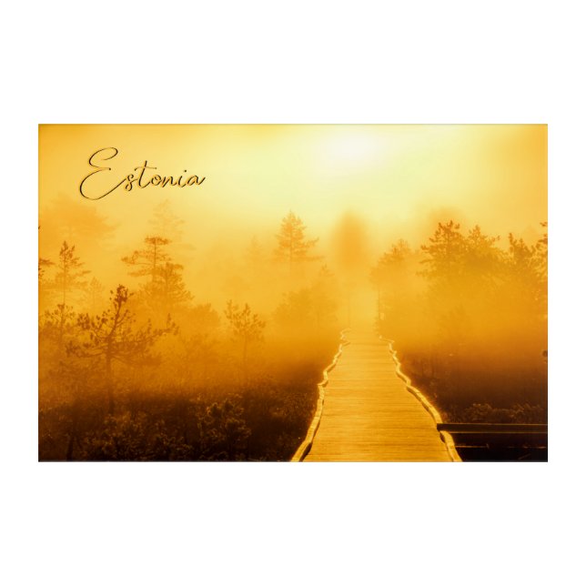Viru Bog Golden Sunrise Acrylic Print (Front)