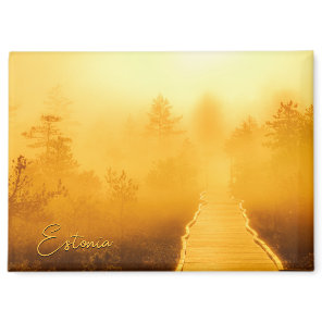Viru Bog Golden Sunrise Magnet
