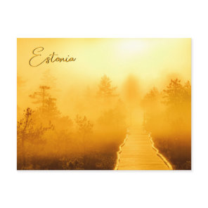 Viru Bog Golden Sunrise Postcard