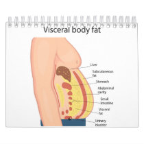 Visceral body fat calendar