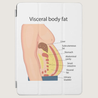 Visceral body fat iPad air cover