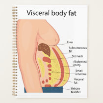 Visceral body fat planner