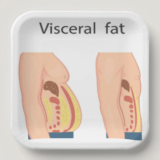 Visceral fat paper plates