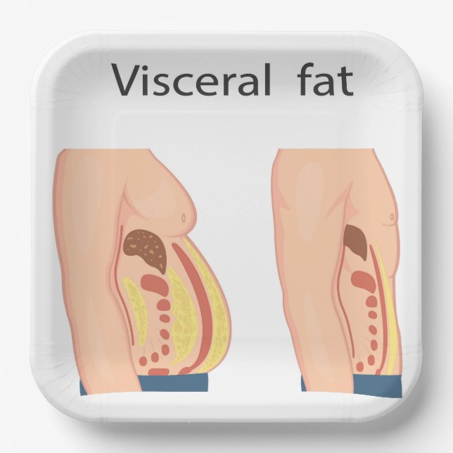 Visceral fat paper plates (Front)