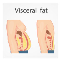 Visceral fat photo print