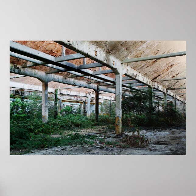 Viscosa 6 poster (Front)