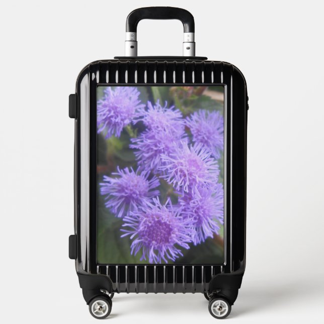 Viscountess Luggage (Front)