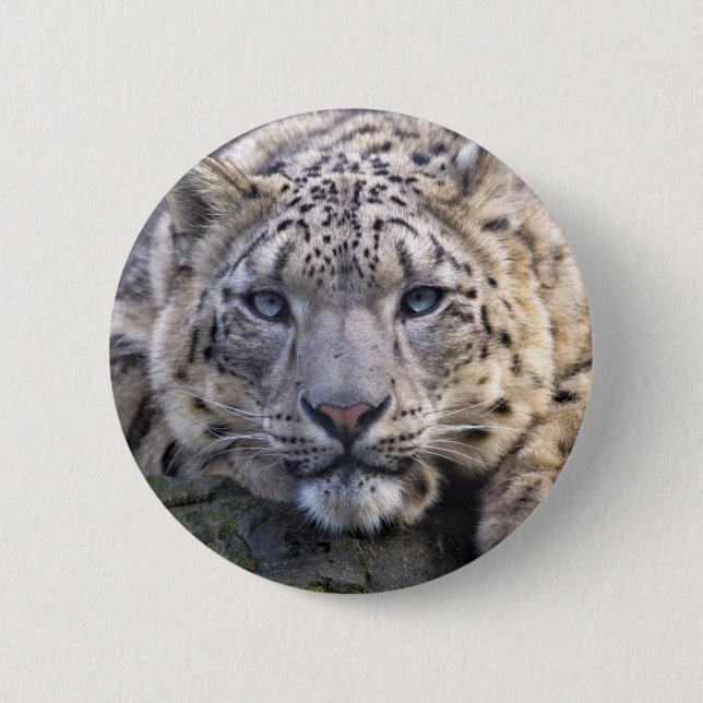Vishnu Snow Leopard Badge Button (Front)