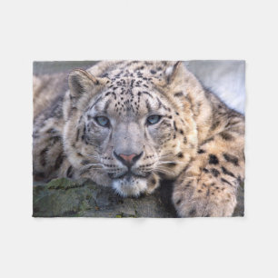 Vishnu Snow Leopard Fleece Blanket
