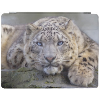 Vishnu Snow Leopard iPad Cover (all models)