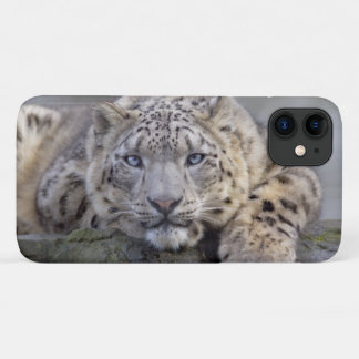 Vishnu Snow Leopard iPhone 11 Case