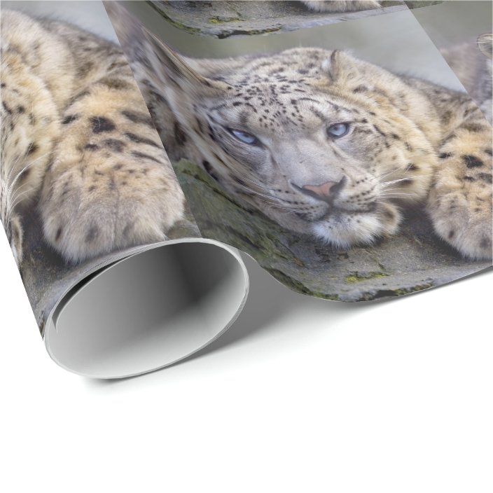 leopard wrapping paper