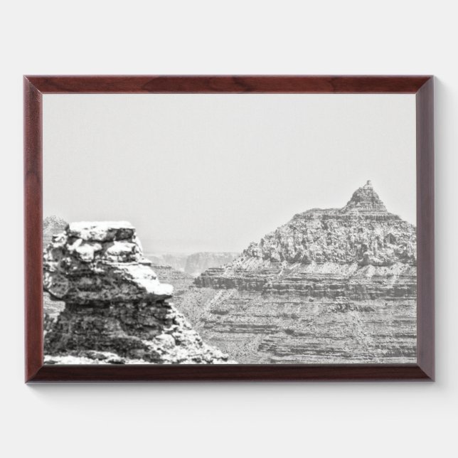 Vishnu Temple Award Plaque (Horizontal)