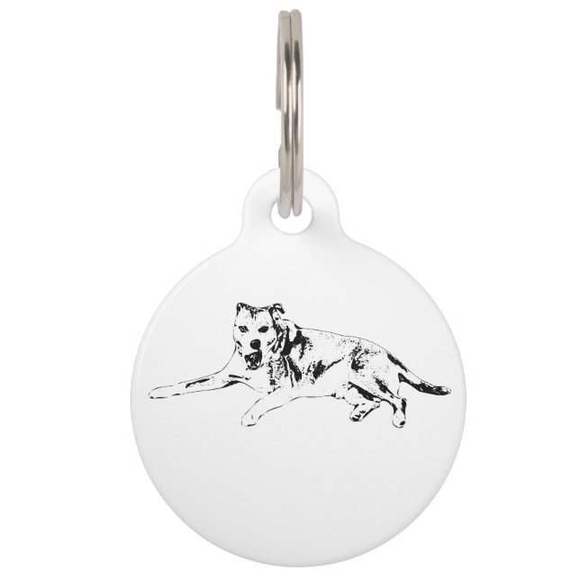 Visible Pal, Clear Heart Pet ID Tag (Front)