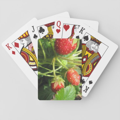 Vision Impaired Playing Cards
