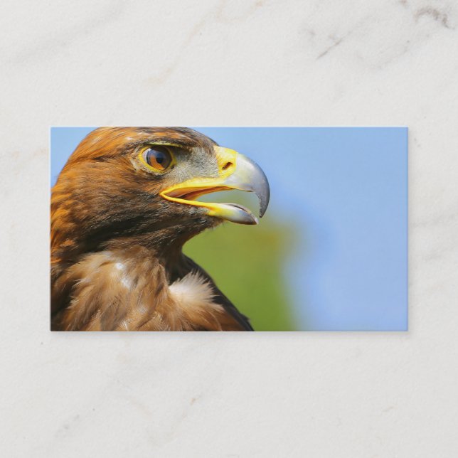 Vision of a Beautiful Young Golden Eagle Business Card (Front)