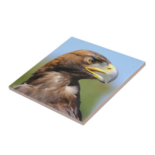 Vision of a Beautiful Young Golden Eagle Ceramic Tile