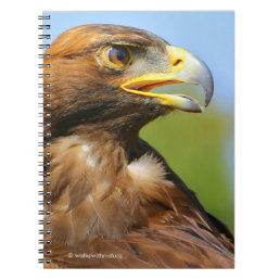 Vision of a Beautiful Young Golden Eagle Notebook