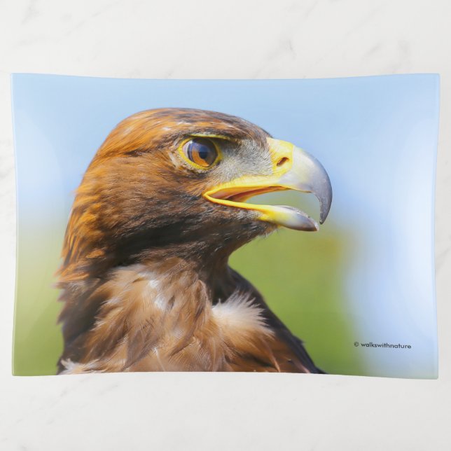 Vision of a Beautiful Young Golden Eagle Trinket Tray (Front)