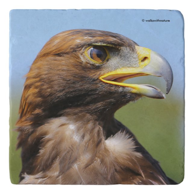 Vision of a Beautiful Young Golden Eagle Trivet (Front)