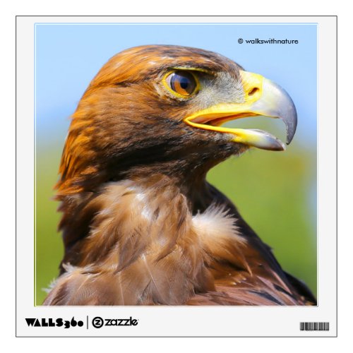 Vision of a Beautiful Young Golden Eagle Wall Decal