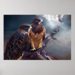 Vision Of The Hawk Art Poster/Print Poster