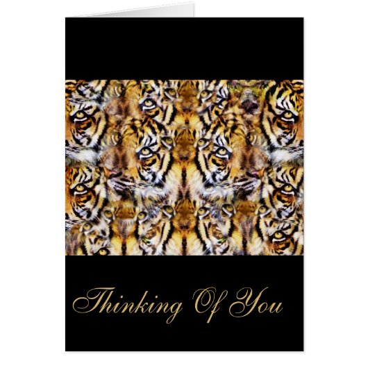 Visions_ Cards (Front)