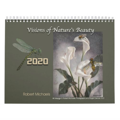 VISIONS OF NATURES BEAUTY  2020 _ WALL CALENDAR