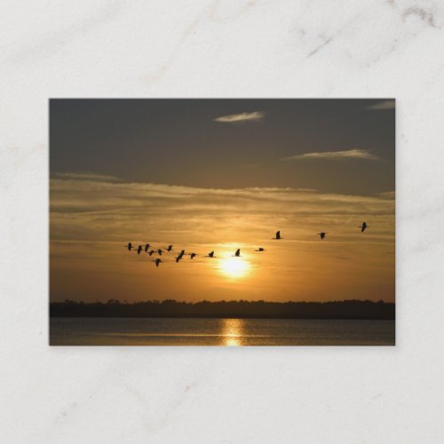 Visions of St Augustine Florida Business Card
