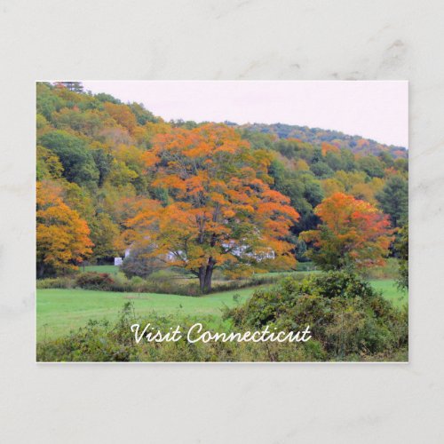 Visit CT Postcard