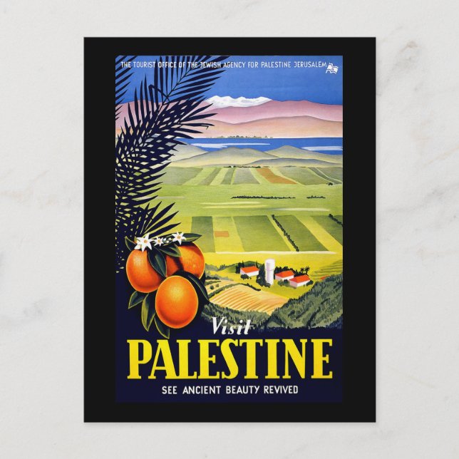 Visit Palestine See Ancient Beauty Revived Postcard (Front)