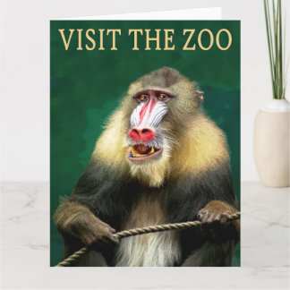 Visit The Mandrill At The Zoo Card