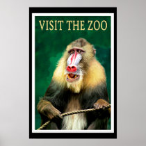 Visit the Zoo, vintage travel poster